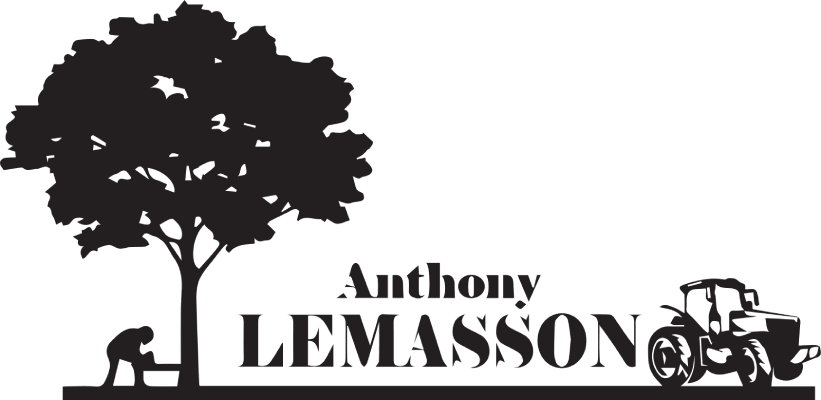 Logo Anthony Lemasson